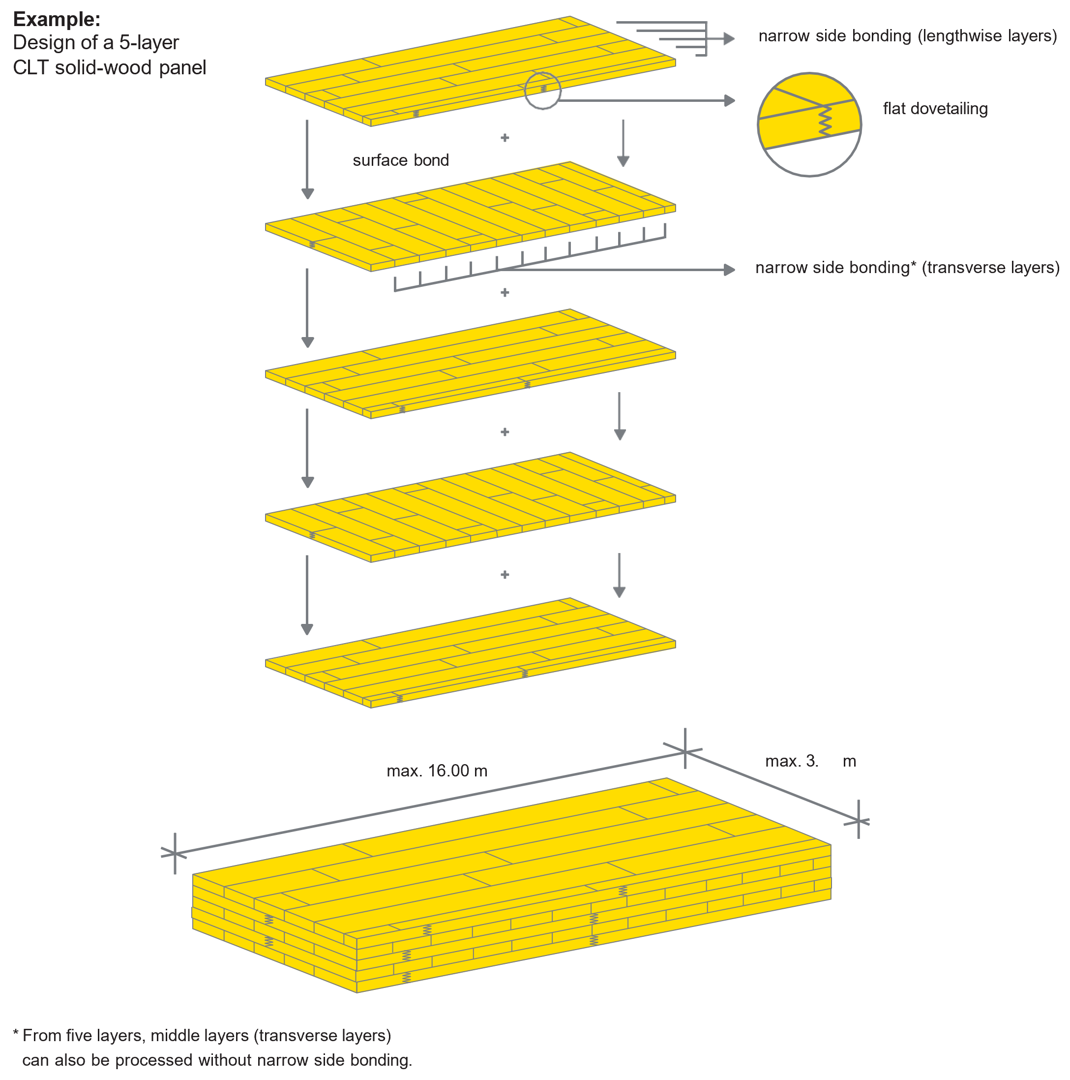 5 Katmanlı CLT Panel